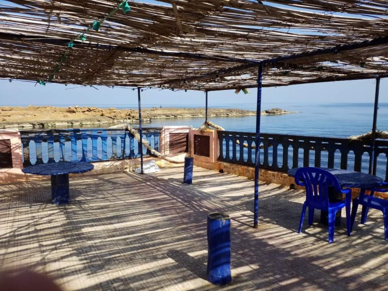 Algérie, 40 ans plus tard (2), Oranais...
