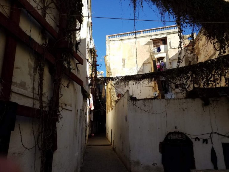 L'Algrie, 40 ans ans plus tard, Alger et Tipasa (1)/..