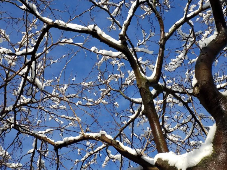 Actualit au Parc de Belleville