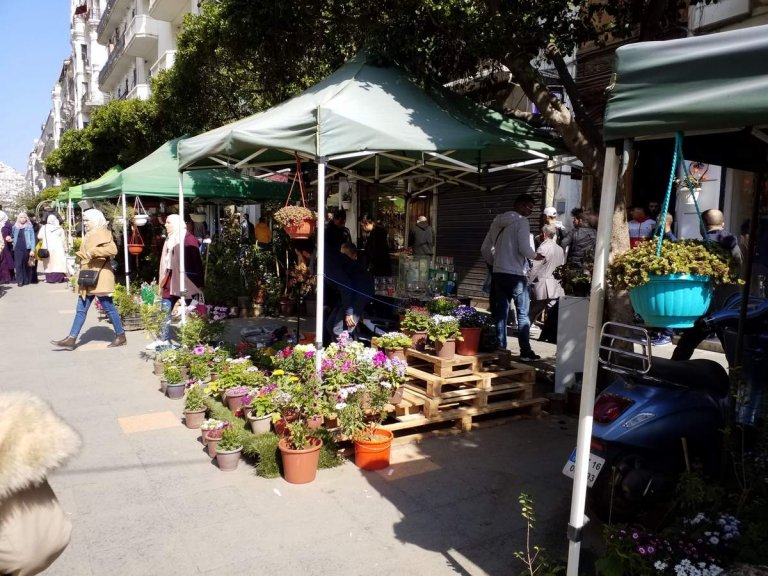 L'Algrie, 40 ans ans plus tard, Alger et Tipasa (1)/..