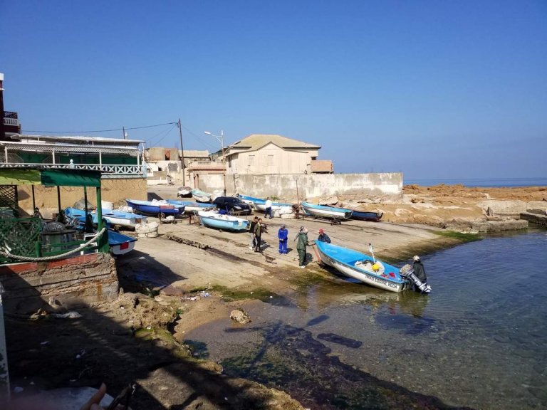 Algérie, 40 ans plus tard (2), Oranais...
