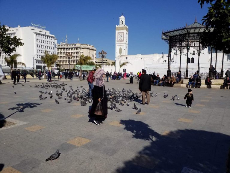 L'Algrie, 40 ans ans plus tard, Alger et Tipasa (1)/..