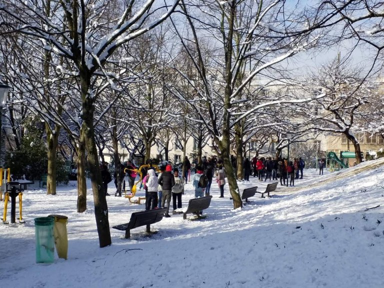 Actualit au Parc de Belleville