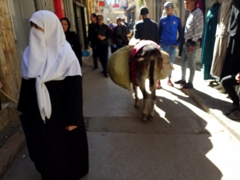 Algérie, 40 ans plus tard (2), Oranais...