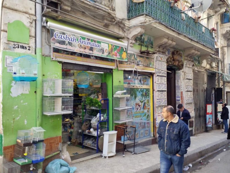 L'Algrie, 40 ans ans plus tard, Alger et Tipasa (1)/..