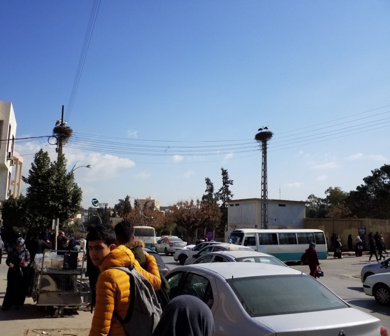 Algérie, 40 ans plus tard (2), Oranais...